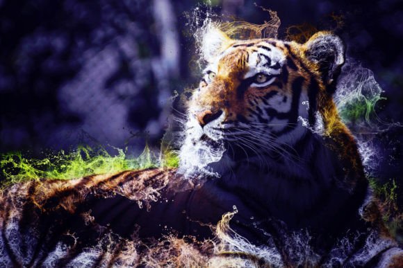 Unlocking Creative Potential: How the Tigers Printable Graphics Pack 10 Transforms Digital Assets into Professional Reality